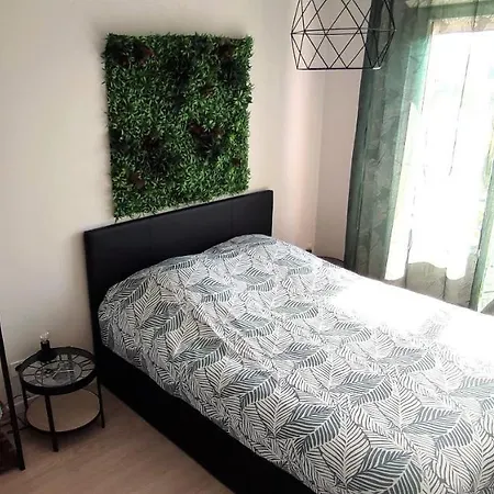 Jungly - Moderne, Cocooning, Calme, Nature