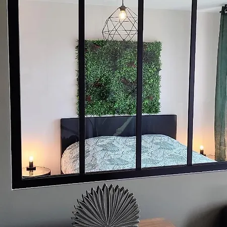 Jungly - Moderne, Cocooning, Calme, Nature